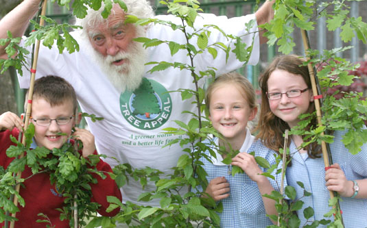 David Bellamy
