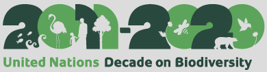 United Nations Decade on Biodiversity