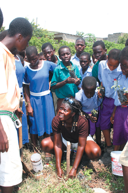 Tree planting in Ghana