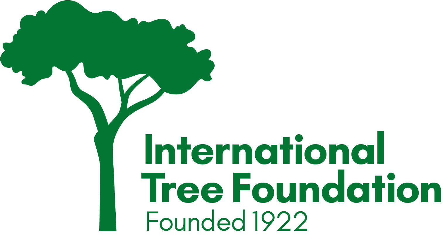 International Tree Foundation logo