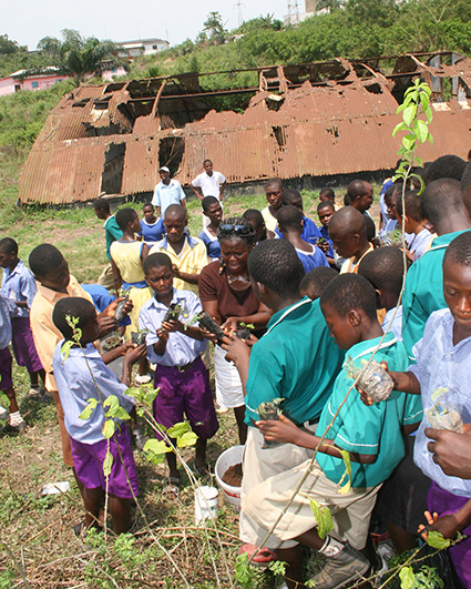 Tree planting at Anomabo