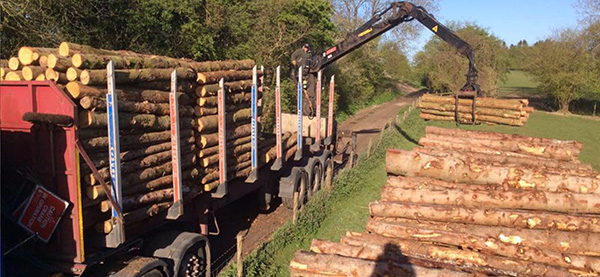 Cracknell Timber