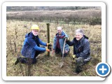Hem Heath, Staffordshire Wildlife Trust