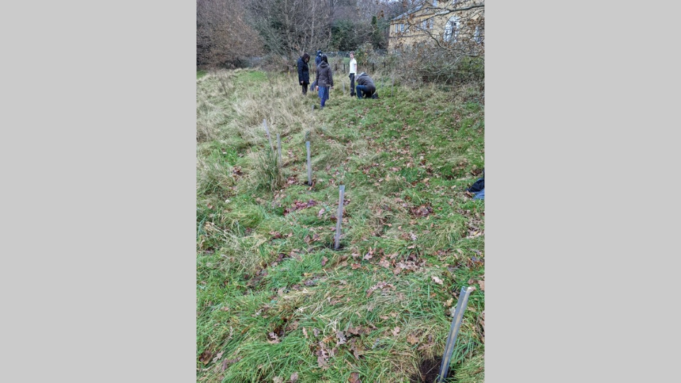 Students planting sapinngs