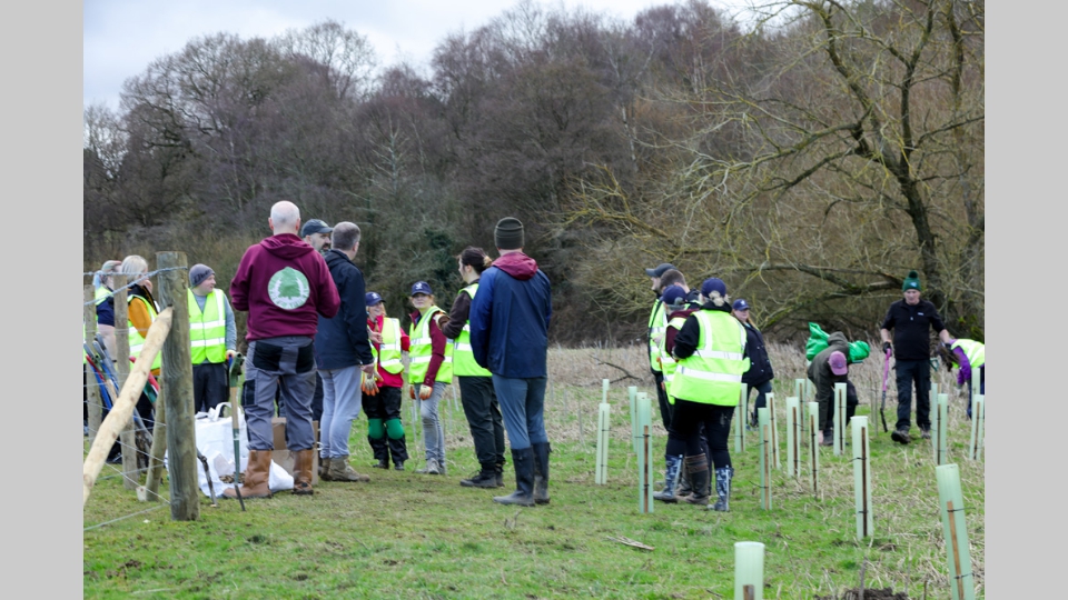 Wave Planting Event-76 Wave Planting Event-76