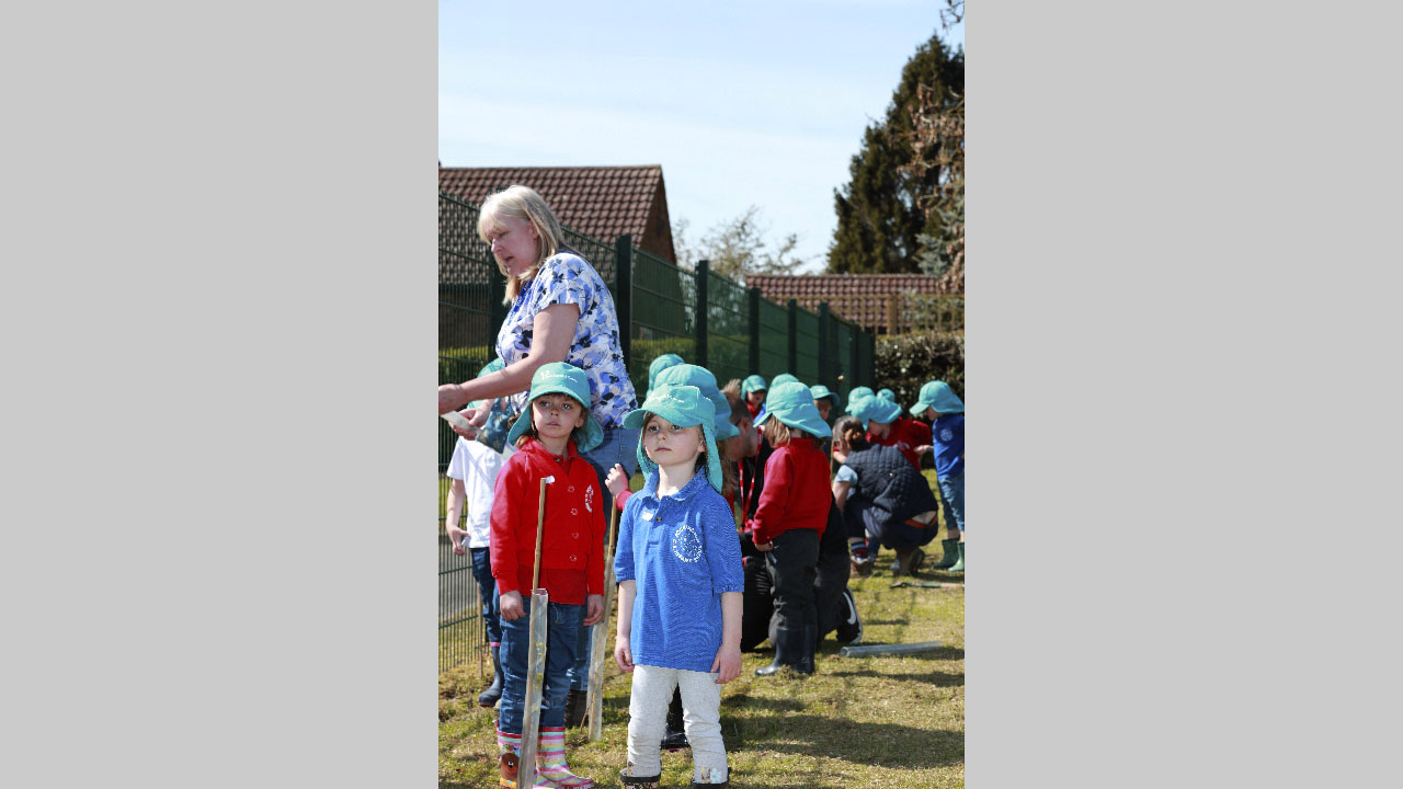 Pocklinton-45 Pocklinton-45