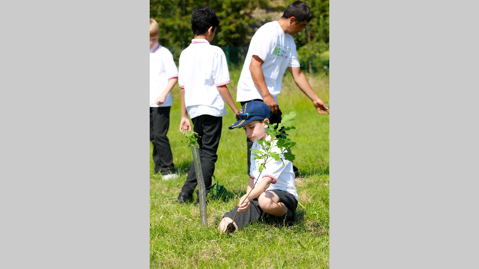 NEGardenLandscapes_76 NEGardenLandscapes_76